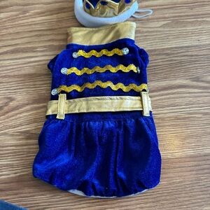 Blue and Gold Pet Costume